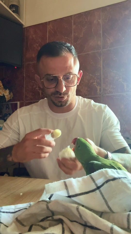 TikTok video thumbnail by mike.cioaca