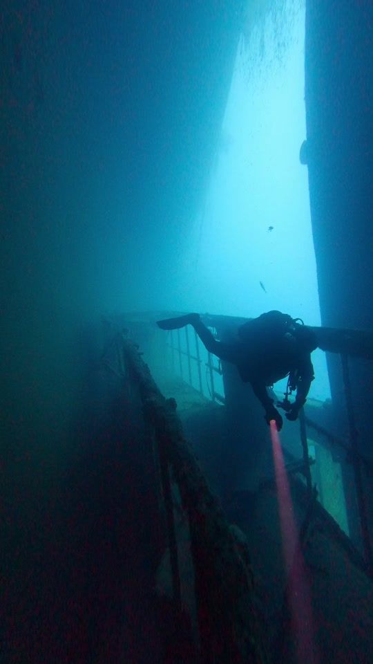 TikTok video thumbnail by pineapplediveclub