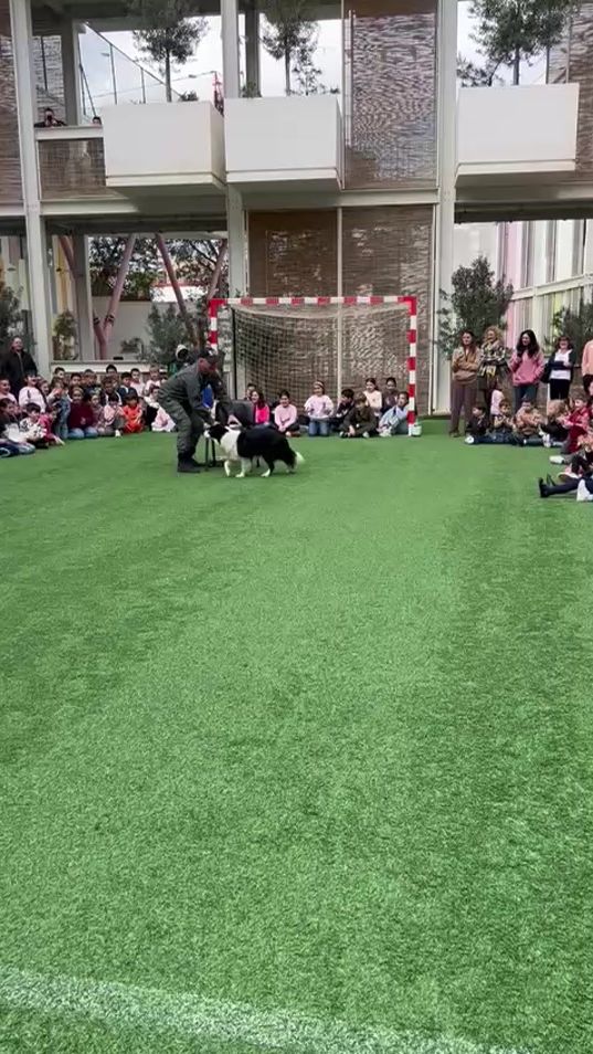 TikTok video thumbnail by iancuschieri