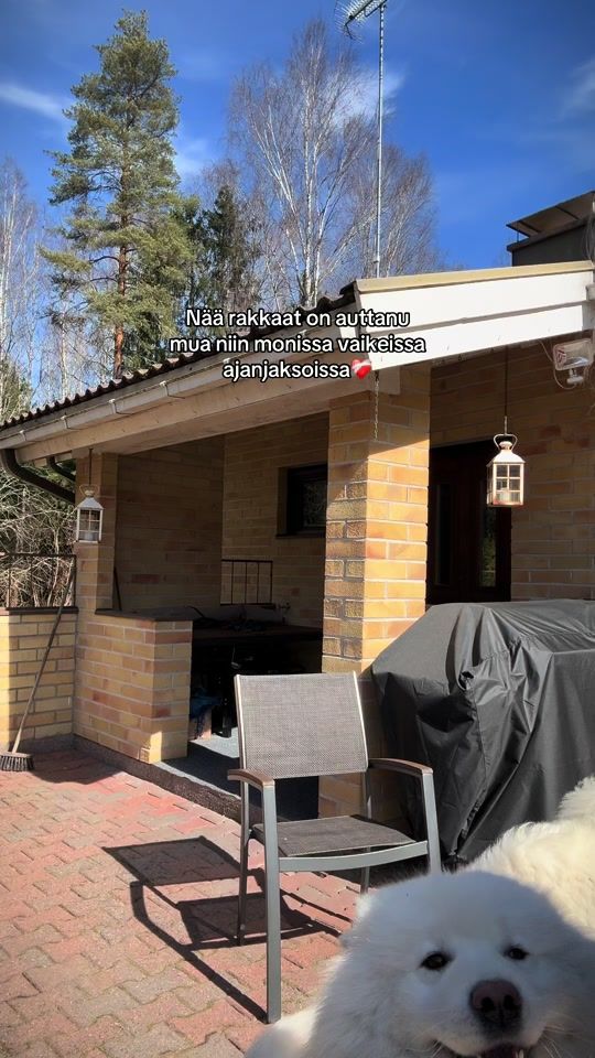 TikTok video thumbnail by sannakorpua