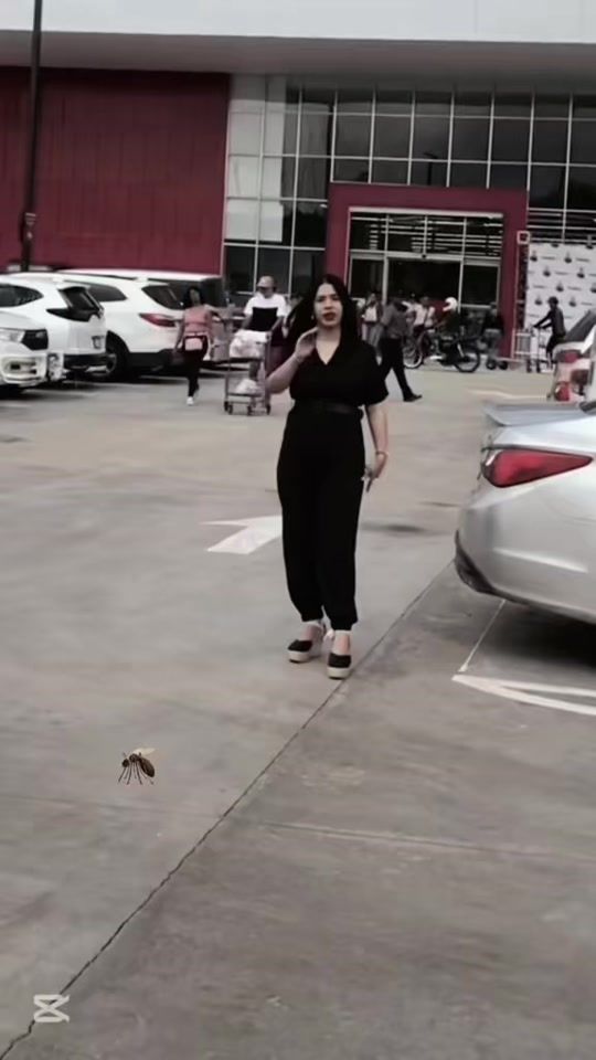 TikTok video thumbnail by zanzara___