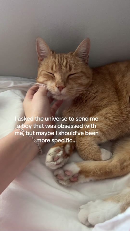 TikTok video thumbnail by ilovelakrits