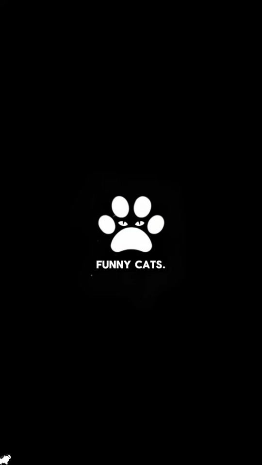 TikTok video thumbnail by catpriority