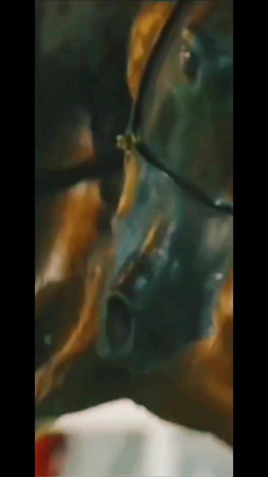 TikTok video thumbnail by ramona.mihilescu
