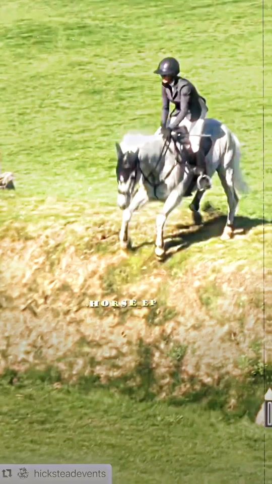 TikTok video thumbnail by .horse_aep