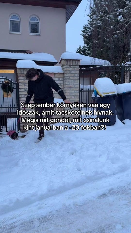 TikTok video thumbnail by 2blackdogsview