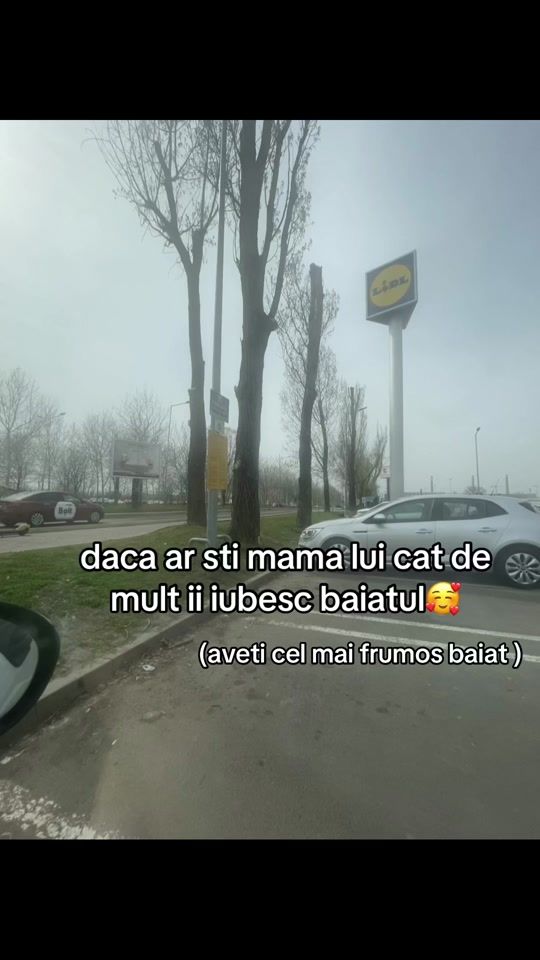 TikTok video thumbnail by teiubescraucristi