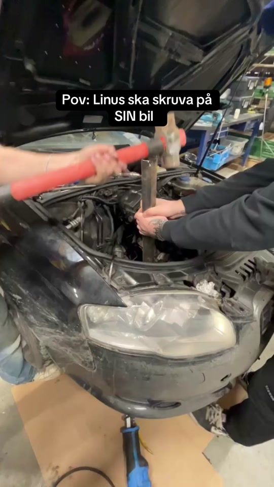 TikTok video thumbnail by pr1nxess0
