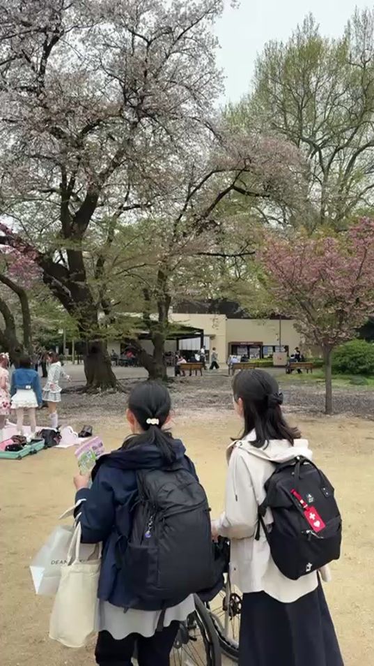 TikTok video thumbnail by irfan50666