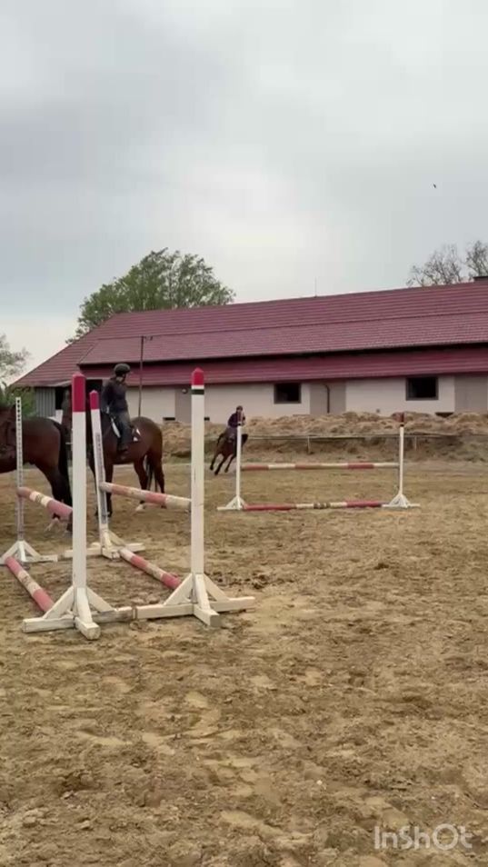 TikTok video thumbnail by _equi__