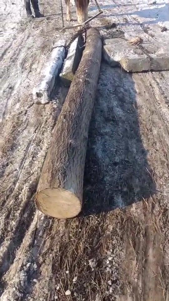 TikTok video thumbnail by bea_mrt24