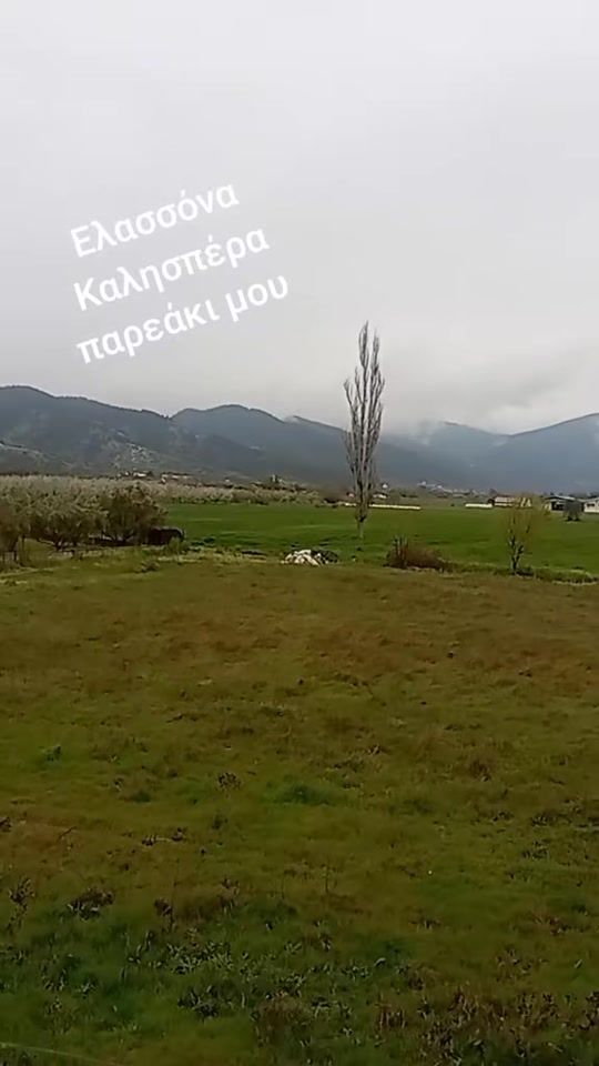 TikTok video thumbnail by user5951869291339