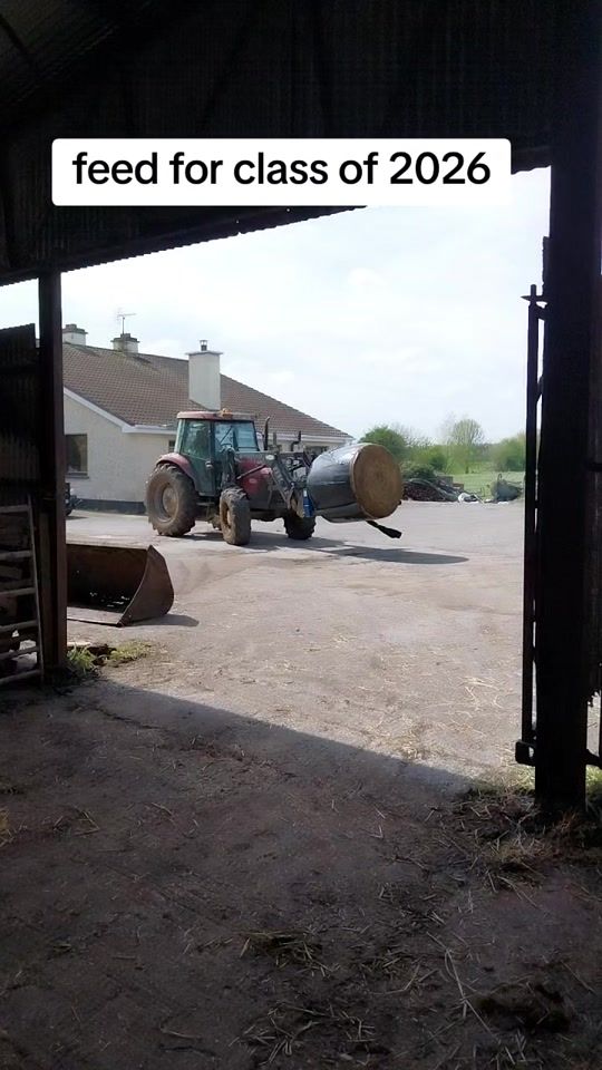 TikTok video thumbnail by gerald.sawyer