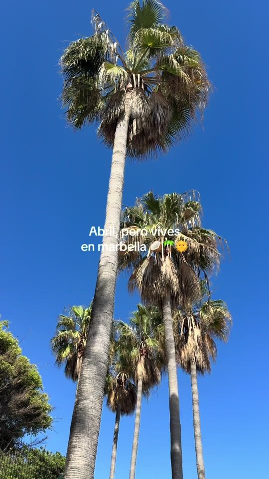 TikTok video thumbnail by lauranardellaa