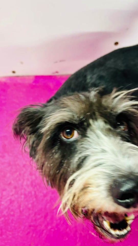 TikTok video thumbnail by cloudk9daycare