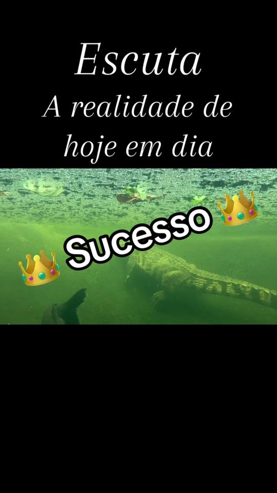 TikTok video thumbnail by sucessosemfama