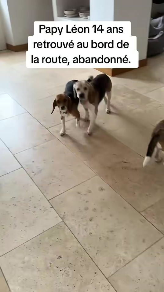 TikTok video thumbnail by zapping_vintage