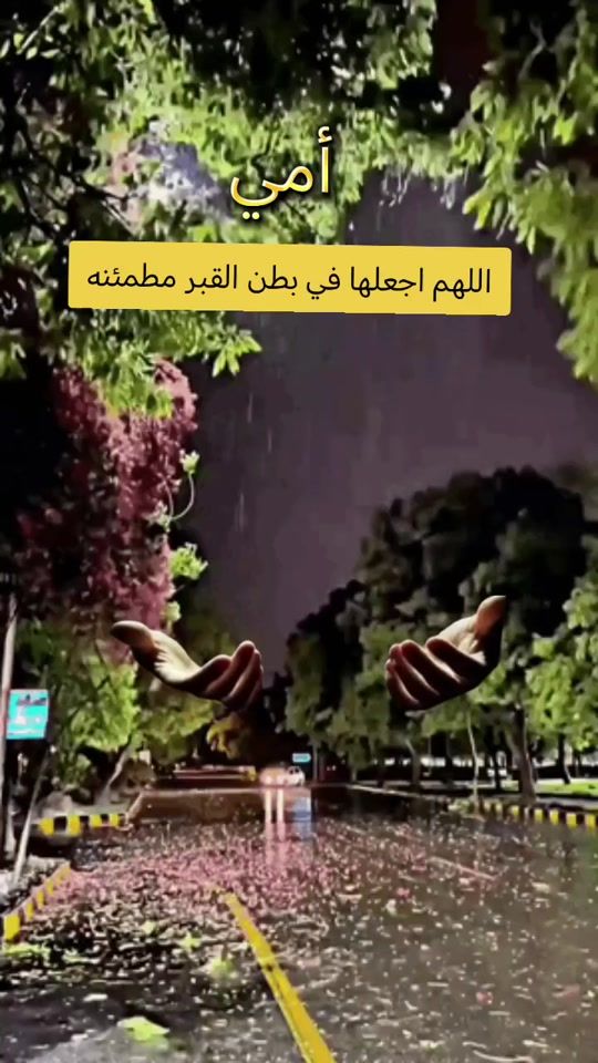 TikTok video thumbnail by rahat_anafs