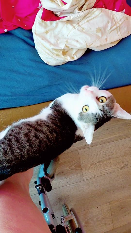 TikTok video thumbnail by ivetka70