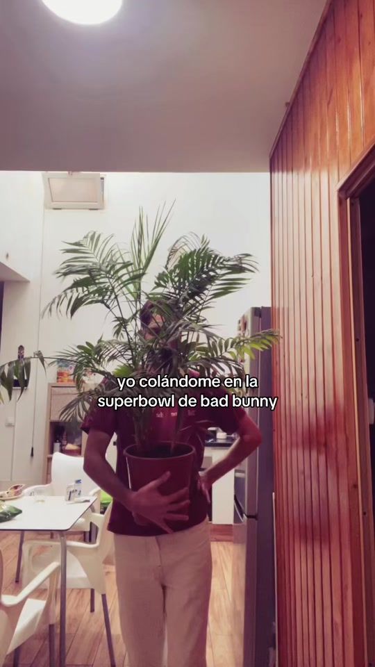 TikTok video thumbnail by juanjoacsta