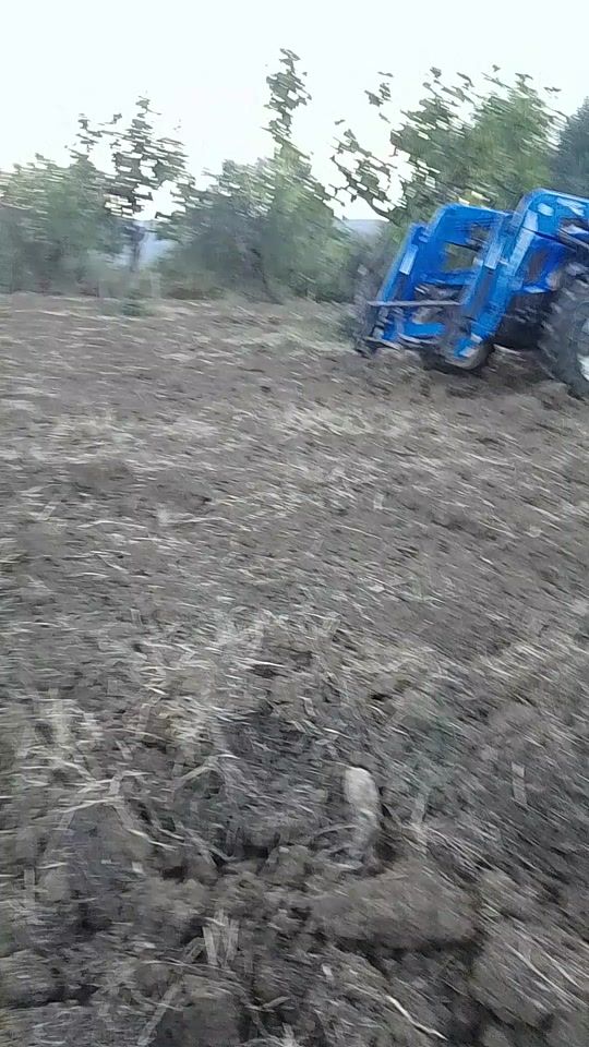 TikTok video thumbnail by michel333.e
