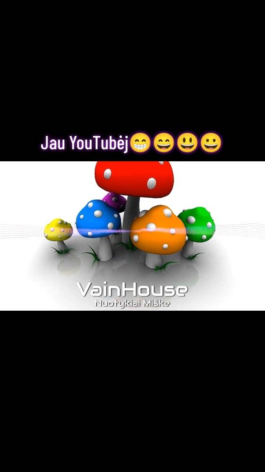 TikTok video thumbnail by vainhouse1998