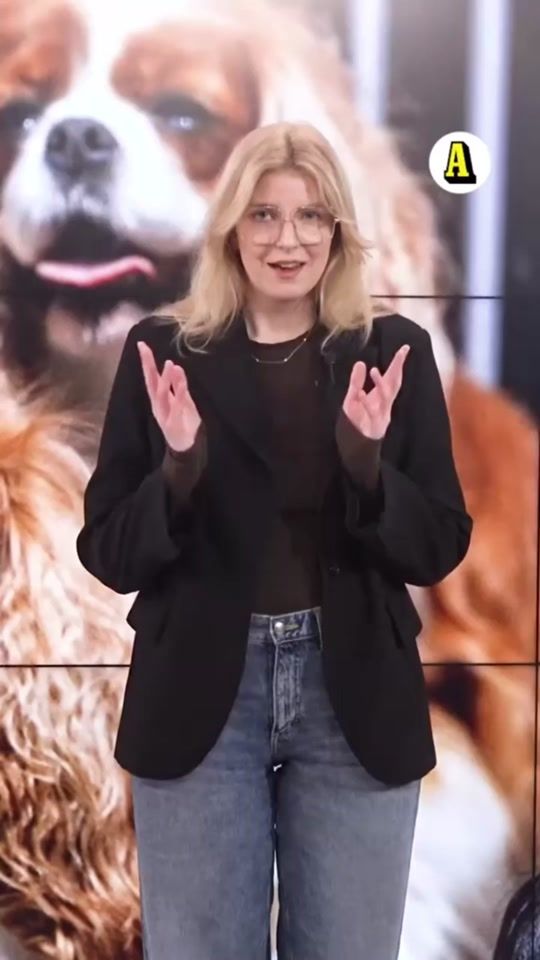 TikTok video thumbnail by bukfetma