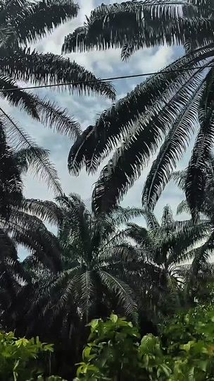 TikTok video thumbnail by shona_liz