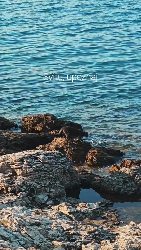TikTok video thumbnail by majaimore