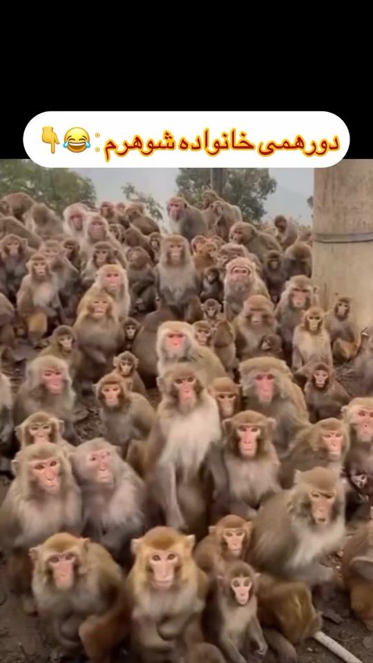 TikTok video thumbnail by ma.4.ria.x