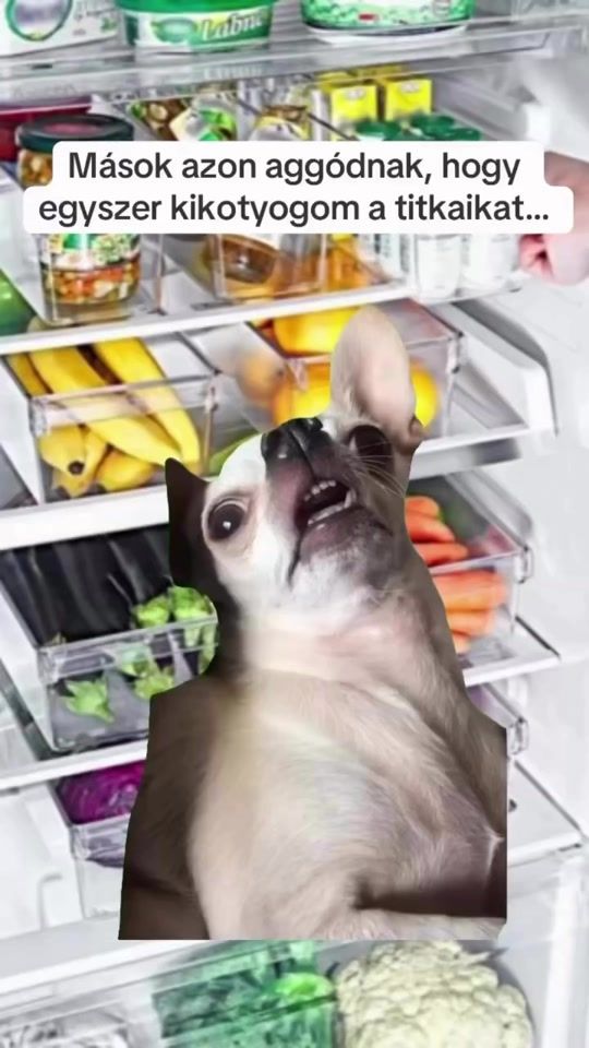 TikTok video thumbnail by icus87