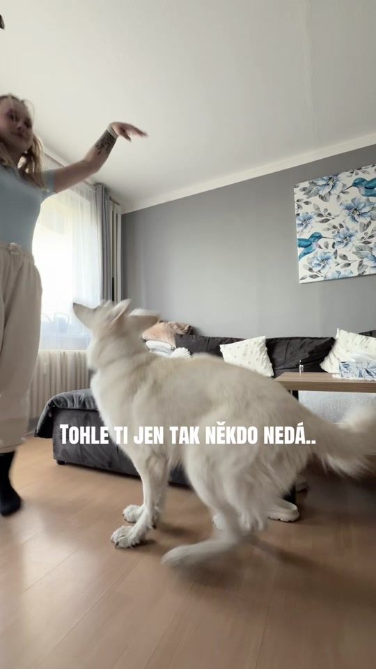 TikTok video thumbnail by _martinkaa