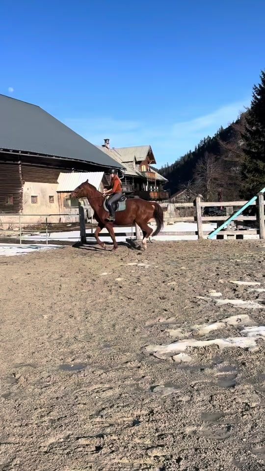 TikTok video thumbnail by hearthorse.cascada