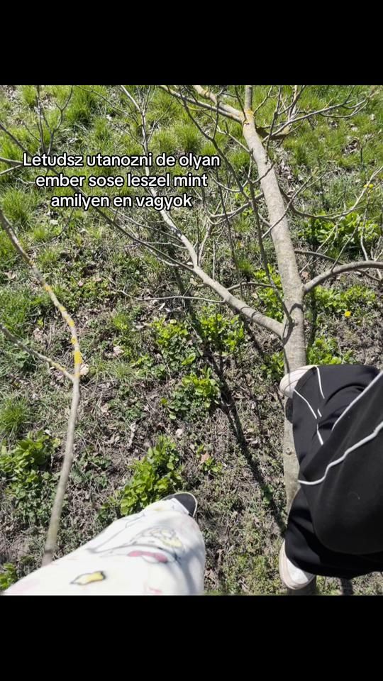TikTok video thumbnail by secsec_sec