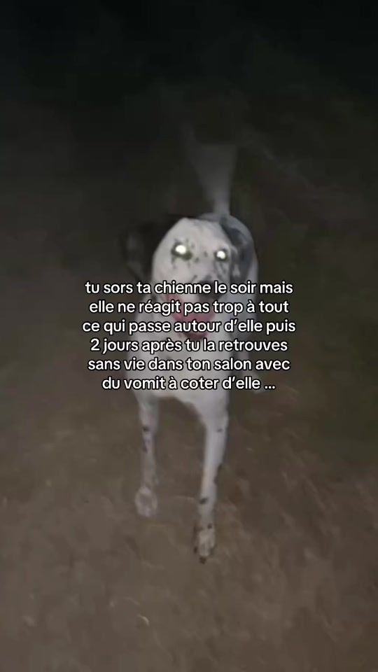 TikTok video thumbnail by alabaaii