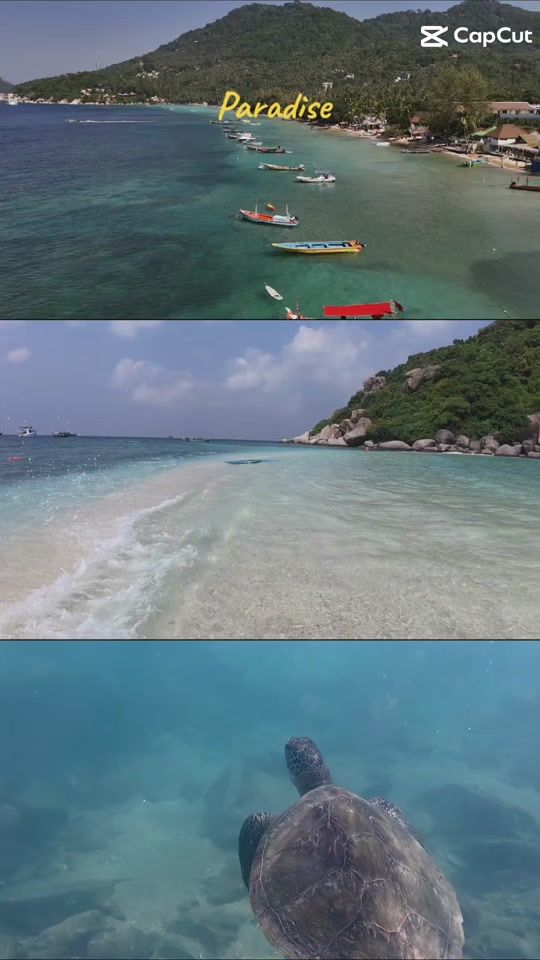 TikTok video thumbnail by stevenbason