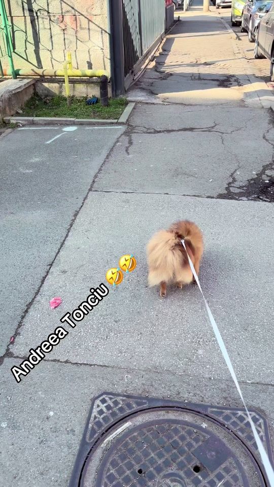 TikTok video thumbnail by ramonaardm