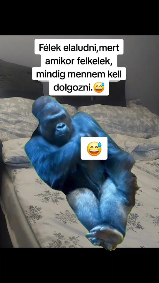 TikTok video thumbnail by moncica75