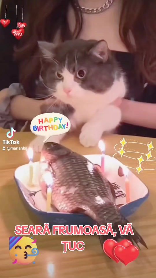 TikTok video thumbnail by marianbij