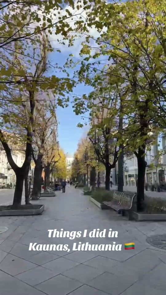 TikTok video thumbnail by antiquenaineurope
