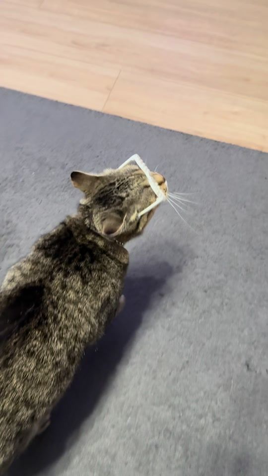 TikTok video thumbnail by ladzsgut