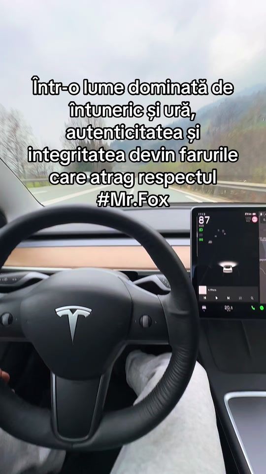 TikTok video thumbnail by mr.fox_9999