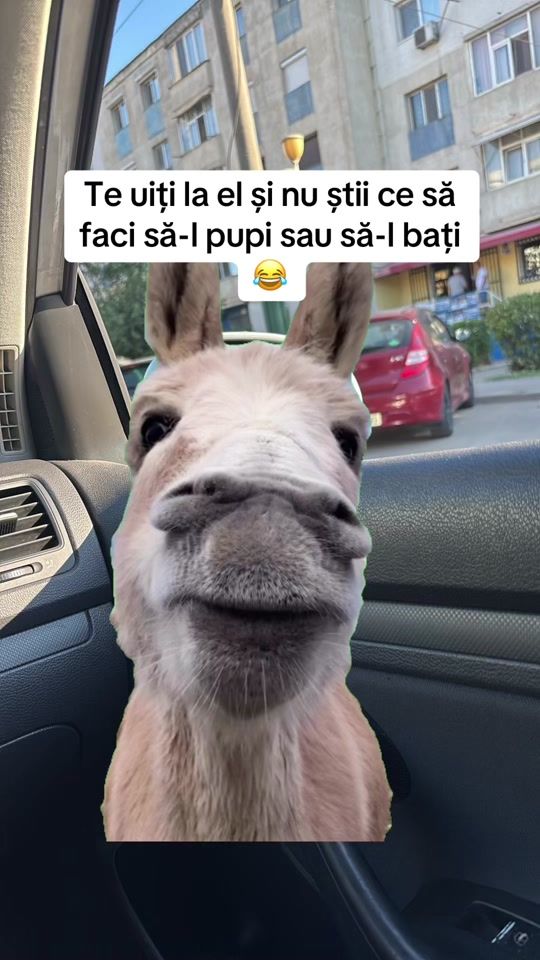 TikTok video thumbnail by andreea_teodorra