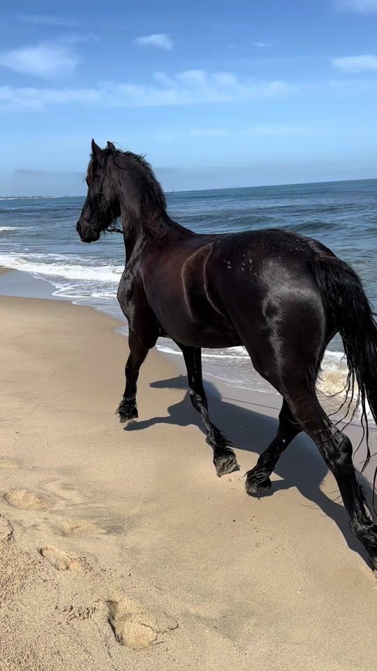 TikTok video thumbnail by elesalvucci
