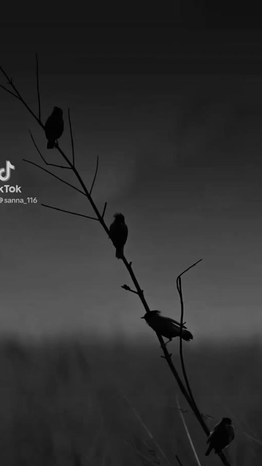 TikTok video thumbnail by sanna_116