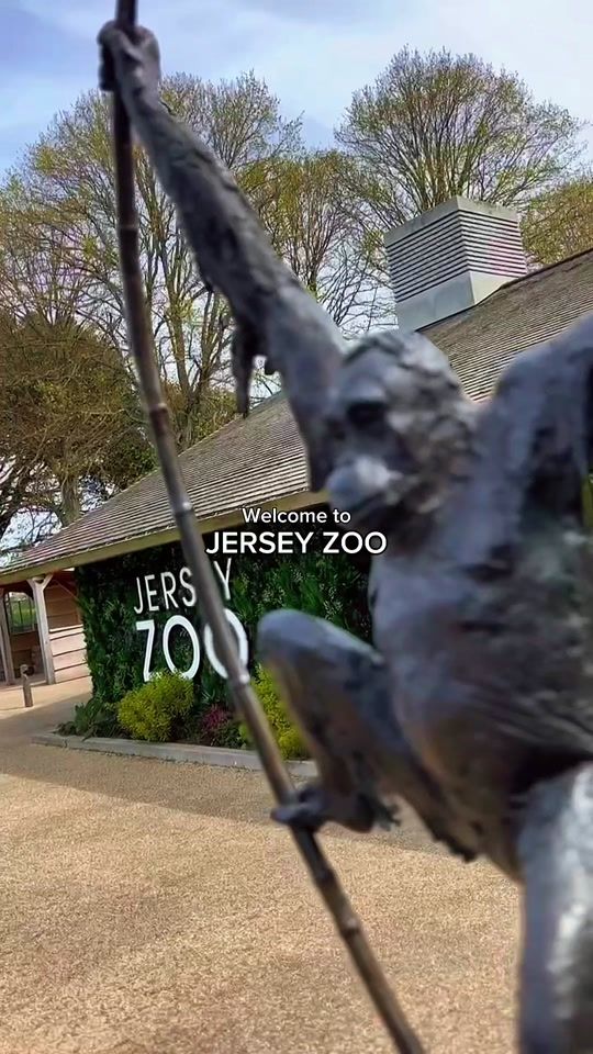 TikTok video thumbnail by visitjersey