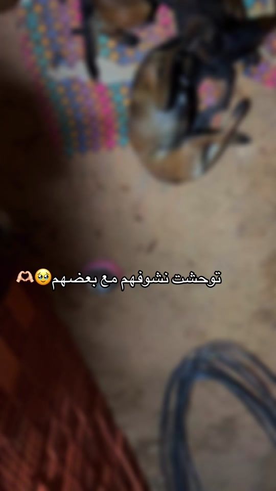 TikTok video thumbnail by zohra.khelifa4