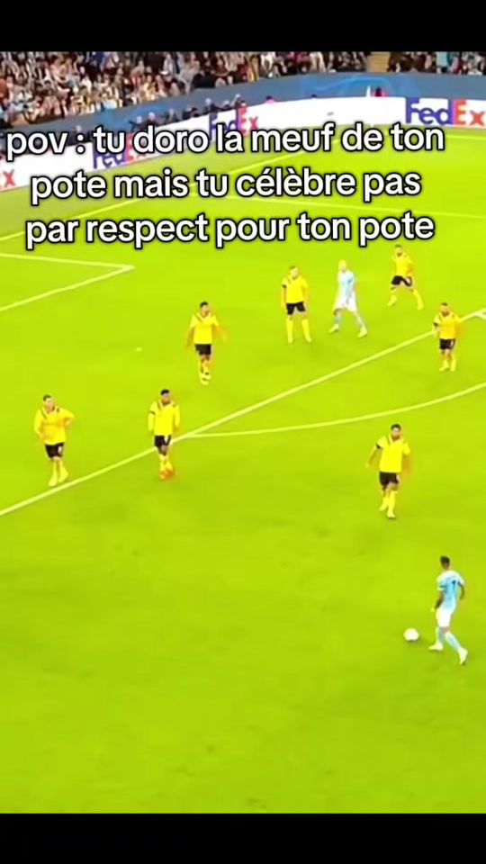 TikTok video thumbnail by user_zarko