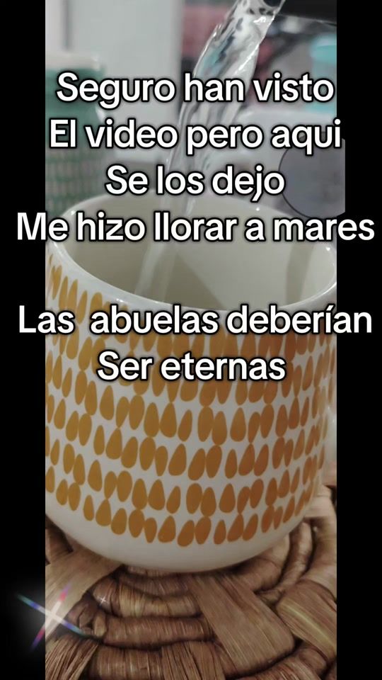 TikTok video thumbnail by vlogbienbonito