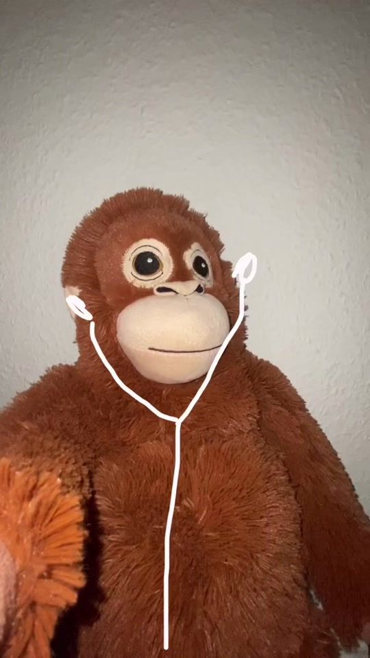 TikTok video thumbnail by itsmikomonkey